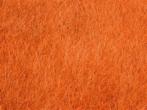 Orange Texture Background Free Stock Photo - Public Domain Pictures