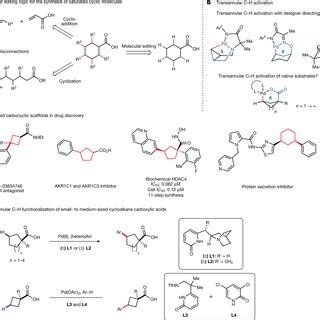 Transannular C–H functionalization of cycloalkane carboxylic acids ...