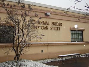 City of Buffalo Animal Shelter - Buffalo - LocalWiki