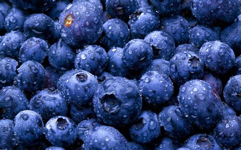 Blueberry Wallpapers - Wallpaper Cave