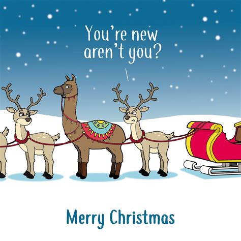 Pack of 12 Funny Christmas Cards Pack. Xmas Multipack. Funny Cards. Humour Cards. Humour ...