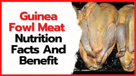 Guinea Fowl Meat Nutritional Facts, Healthy Meat For Your Diet