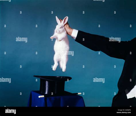 HAND OF MAGICIAN PULLING WHITE RABBIT OUT OF BLACK TOP HAT TRICK Stock Photo: 12663207 - Alamy