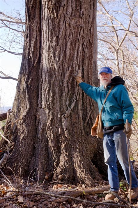 Clinch Mountain Preserve | 500-Year Forest Foundation