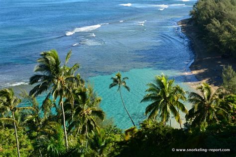 Snorkeling in Ke'e Beach, Kauai | Snorkeling in Hawaii