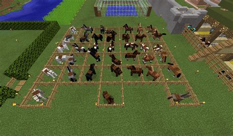 Horse Breeding Guide Minecraft - Games Addict