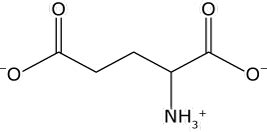 Getting to Know Your Amino Acids: Glutamate