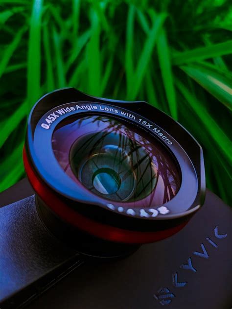 5 Ass Kicking Macro Lens Photography Tips And Tricks - Javy.Photos