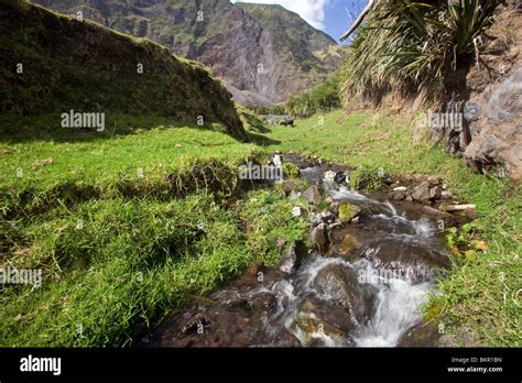 Tristan Da Cunha Island, the foothills of Queen Marys Peak, 2,062m ...