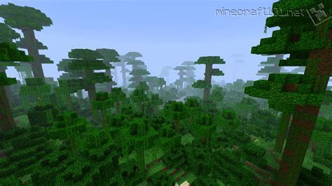 Jungle Biome Animals Minecraft | RAINFOREST ANIMAL