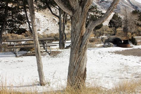 Mammoth Hot Springs Campground | Mammoth Hot Springs campgro… | Flickr