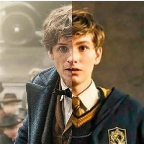 Newt Scamander - Fantastic Beasts | Harry potter, Harry potter fandom ...