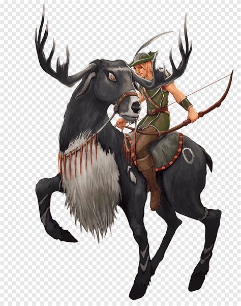 Tibia Paladin Reindeer Servidor Expansion pack, Reindeer, antler, mammal png | PNGEgg