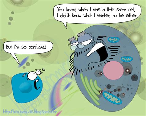 Biocomicals: When I was a little stem cell