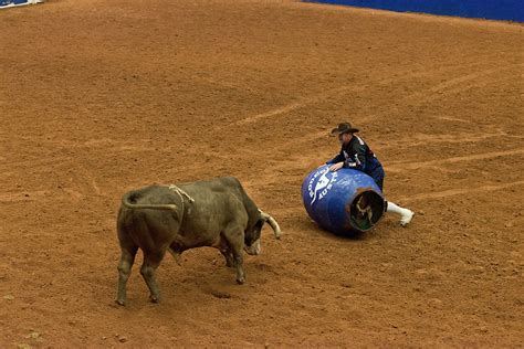 Rodeo Free Stock Photo - Public Domain Pictures