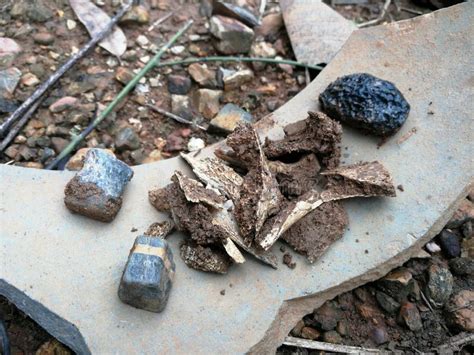 Ancient human bones stock photo. Image of hand, archaeologist - 274918688