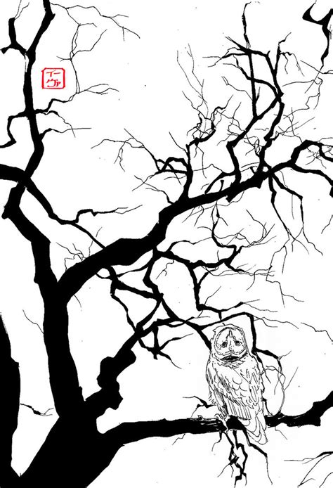 Owl On Tree Branch Drawing at GetDrawings | Free download