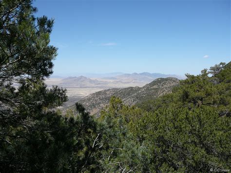 Spring in the Huachuca Mountains - Wild Mountain Echoes