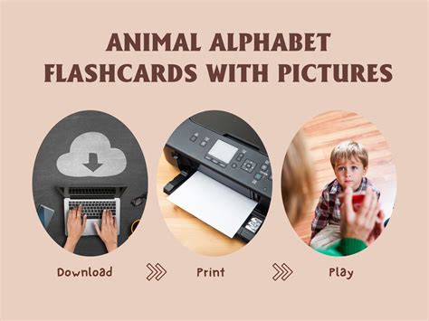 Animal Alphabet Flashcards With Pictures, Cute Animal Flashcards, Letter Cards for Toddlers ...