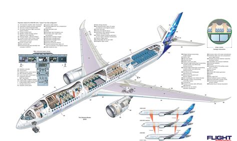 Airbus A350 | Pesawat militer, Pesawat, Penerbangan