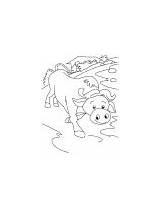 Milkman buffalo coloring Page  Download Free sketch template