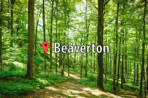 Top 5 places to enjoy the outdoors in Beaverton - The Beavertonian