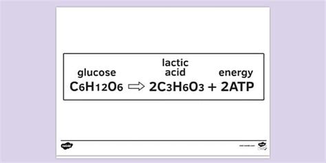 Anaerobic Respiration Equation In Humans