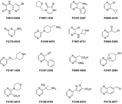 Advanced Functionalized Pyrazines for Applications in Drug Discovery and Materials Science ...