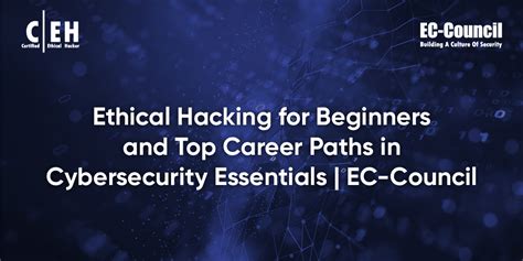 Ethical Hacking Course for Beginners: Essential Techniques and Fundamentals