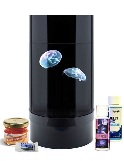 Pet Jellyfish - Jellyfish Tanks, Food & Supplies Retailer UK | Jellyfish tank pets, Jellyfish ...