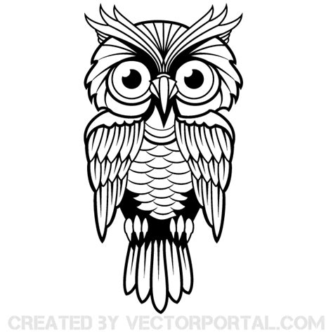 Owl Vector Art | Owl vector, Vector art, Owl