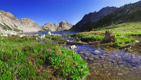 Panorama , Mountain Stream, Flowers and Sawtooth Lake - Sawtooth ...