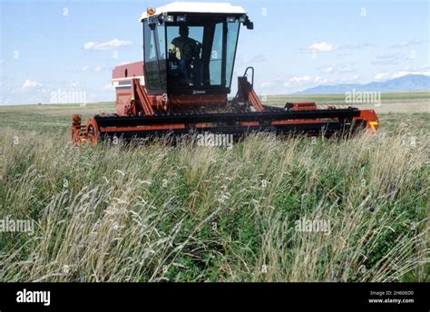 Farmer using a tractor cutting tall grass, August 1992 Stock Photo - Alamy