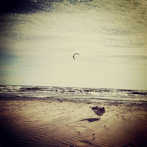 Long beach, wainfleet, Ontario | Favorite places, Wainfleet, Beach