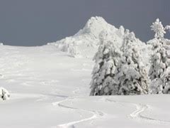 Mt. Ashland Ski Area - Mt. Ashland Ski Area