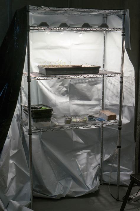 DIY Grow Tent | Grow tent, Diy tent, Grow room