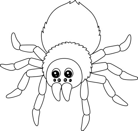 Tarantula Animal Coloring Page Isolated for Kids 7066871 Vector Art at Vecteezy