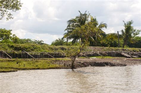 The Land Erosion in the Bank of the River in the Rural West Bengal ...