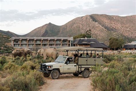 Inverdoorn Game Reserve safari from Cape Town | OutdoorTrip