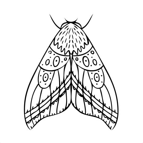 Night butterfly, moth. Hand drawn illustration. Black and white ...