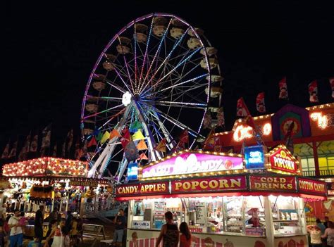 Water skiing squirrel and racing pigs among entertainment for visitors ...