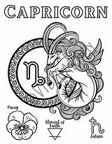12 Page Zodiac Coloring Pages astrology Signs  sketch template