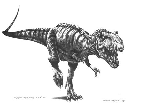 Tyrannosaurus rex by PaleoPastori on DeviantArt