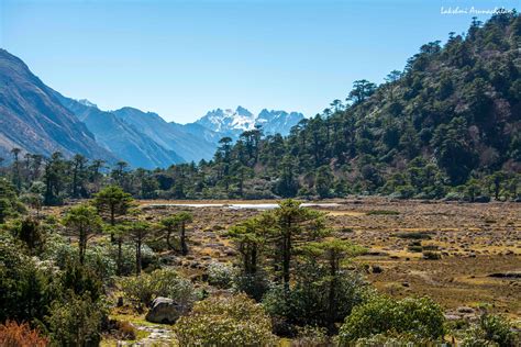 Guide to Gurudongmar Lake & Chopta Valley - Sikkim