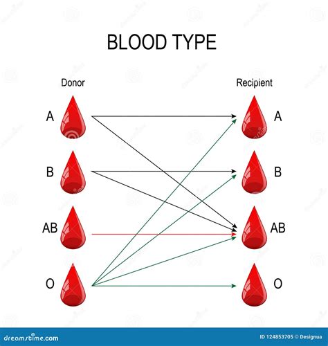 Recipient and Donor. Types of Blood Stock Vector - Illustration of ...