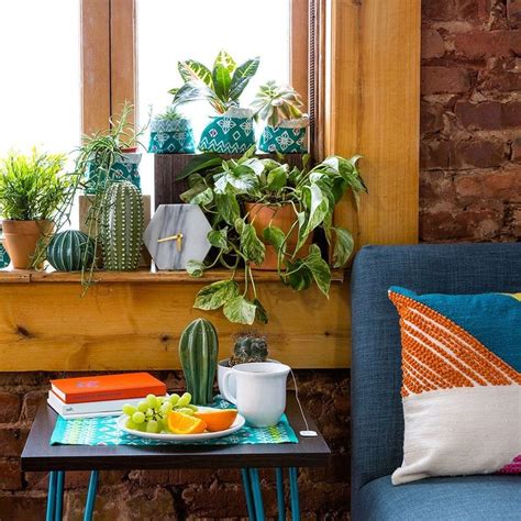 13 Unexpected Ways to Decorate With Plants - Brit + Co