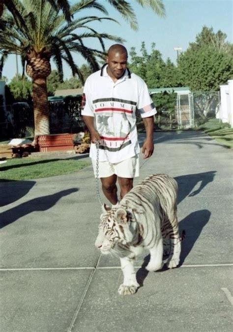 Mike Tyson Walking His Tiger in the 90's