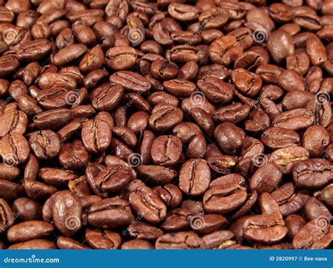 Whole Coffee Beans stock image. Image of beans, coffee - 2820997