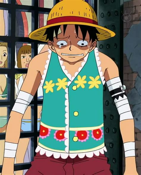 Image - Luffy's Flower Outfit in the Amazon Lily Arc.png | One Piece Wiki | Fandom powered by Wikia