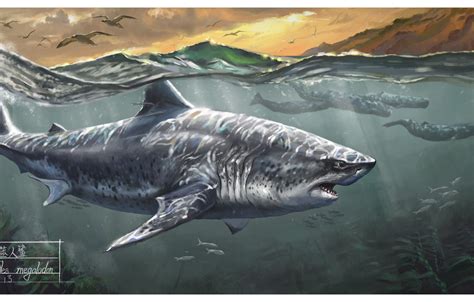 Photo Wallpaper Shark, Whales, Megalodon - Megalodon Art Deviantart - 1332x850 Wallpaper - teahub.io